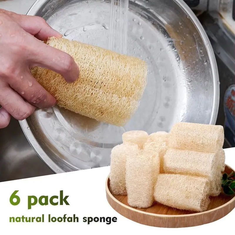 Sikat Cuci Piring Spons Luffa  - Eco Sponge ulasan dan harga